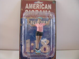 Car Meet Skaterboarder